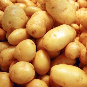 PATATA BIANCO LAVATO 10KG