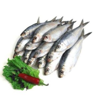CHAPILA (ALOSA ORIENTALE)16*500GR